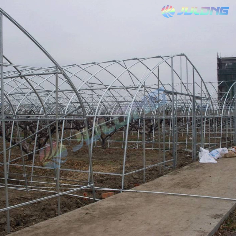 Solo con el riego de invernaderos agrícolas Span y el sistema de calefacción para el invierno de la agricultura