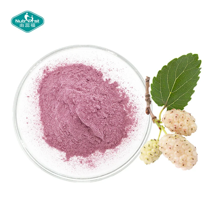 Custom Customized Spray Dried Mulberry Fruit Extract Juice Instant Drink Powder