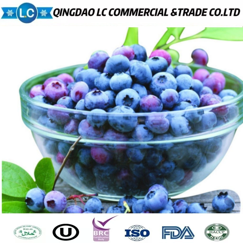 Marcas chinas fruta a granel cultivada de alta calidad Azulejos congelados IQF Precios de arándanos silvestres