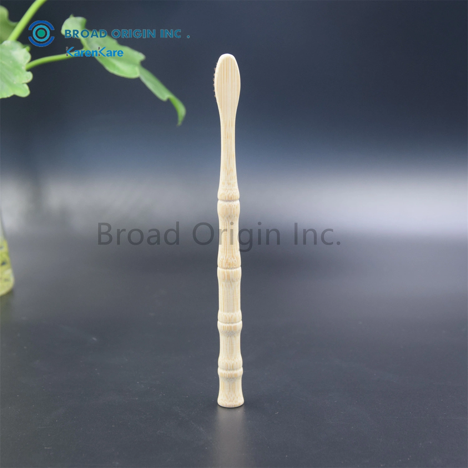 100% Environmental Best Selling Naturalbamboo Toothbrush Factory