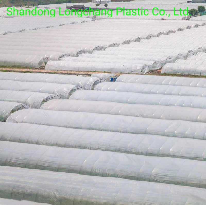 Clear Protective Plastic Greenhouse Film by Blowing