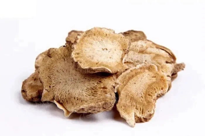 Angelica Pubescens (root) Prepared Trditional Chinese Herbal Medicine Concentrated Granule Arthrities