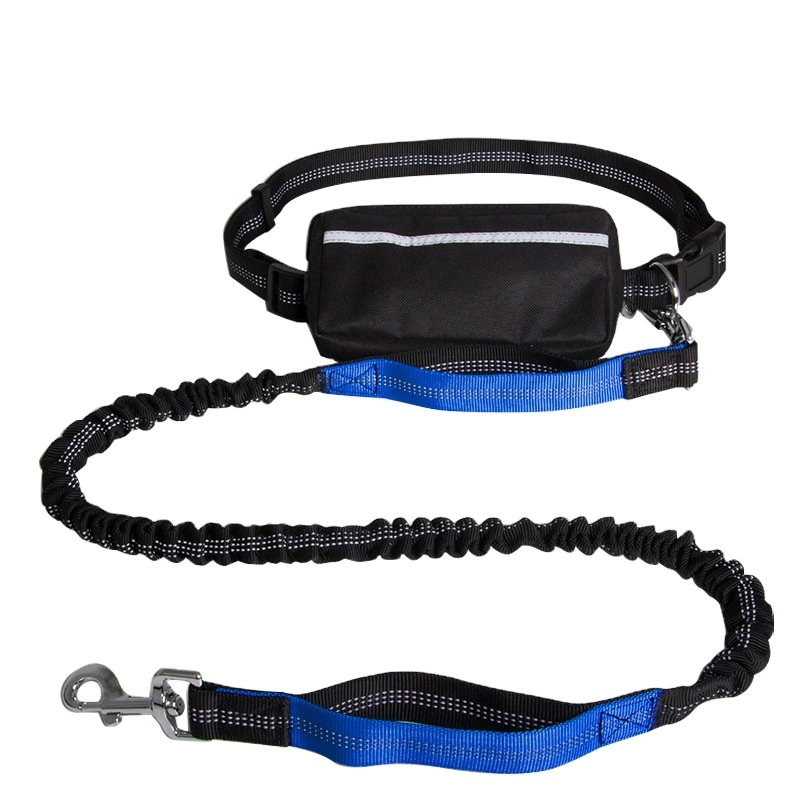 Collier pour chien Classic de couleurs en aplat Pet Collier pour chien confortable conduit