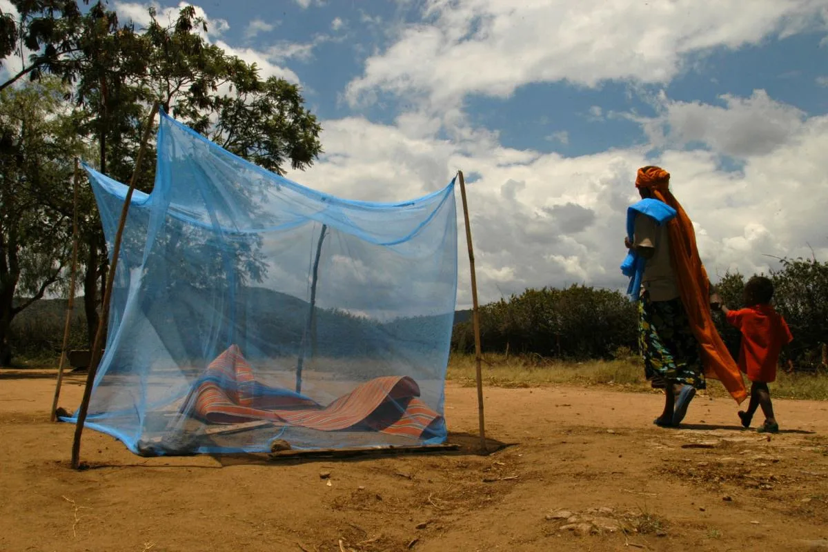 La OMS recomendó la deltametrina o permetrina Llin impregnados de larga duración de mosquiteros tratados con Net mosquitero con luz azul y verde oliva