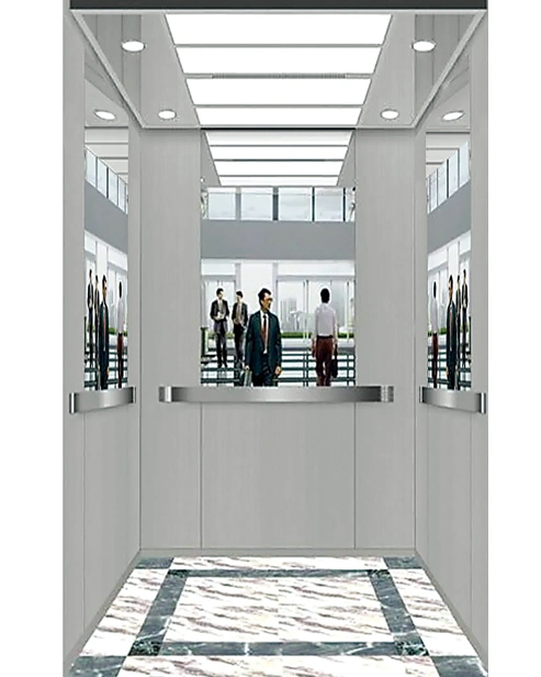 Professional Passenger Elevator with Advanced Technology