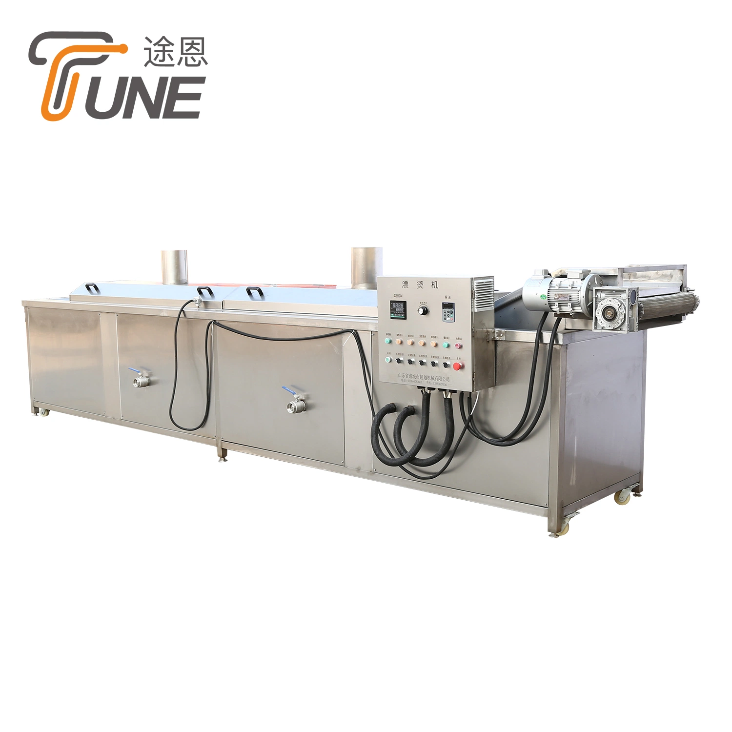 Industrial 500kg/H Fried Frozen French Fries Making Machine