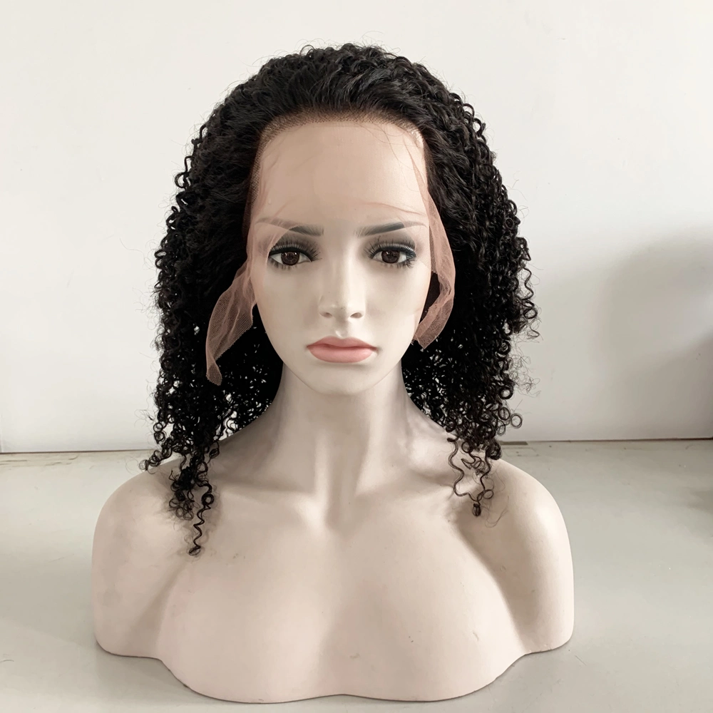 Wholesale/Supplier Quality Hot Sales Afro Curly Natural Huaman Hair Lace Front Wigs