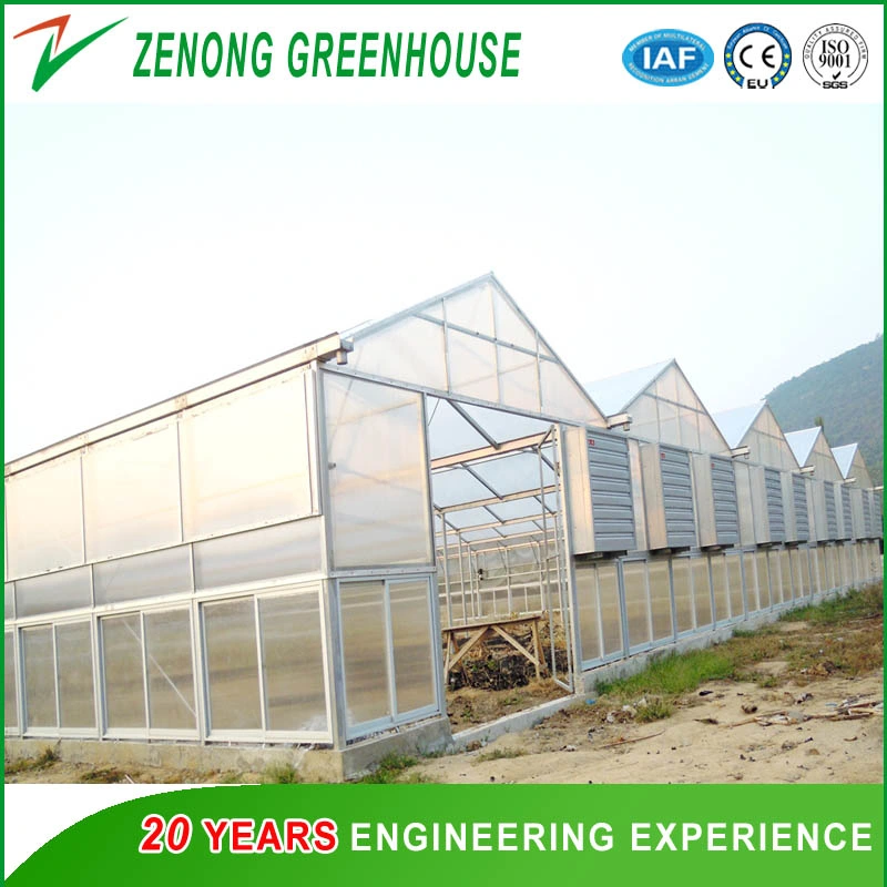 Sunlight Greenhouse with Intelligent Device for Modern Agriculture Seed Breeding Cultivation