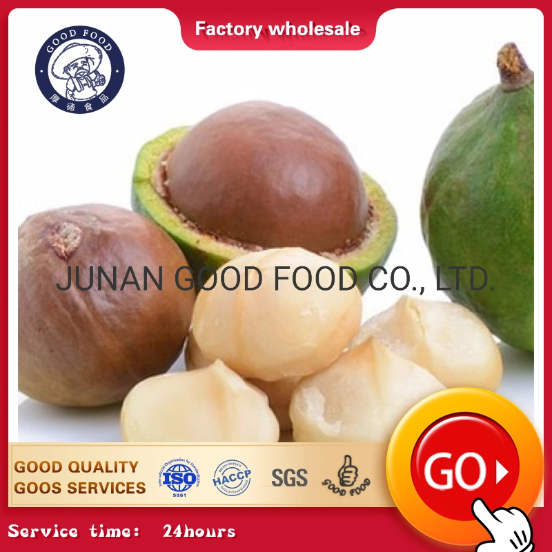 Best Grade a Quality Raw Macadamia Nuts