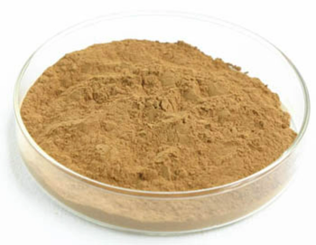 Botanical Extract Aralia Elata Extract 20%~40% Aralosides Anti-Inflammatory Factory Supply