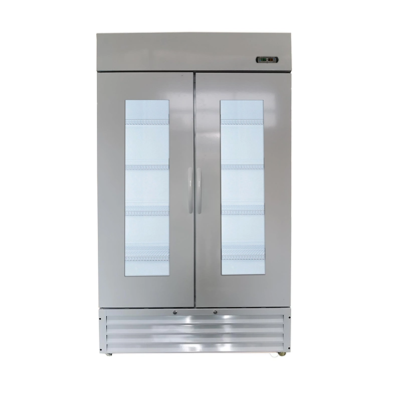 Hospital puerta de vidrio Two-Layer Laboratorio Médico vertical refrigerador farmacia biológica