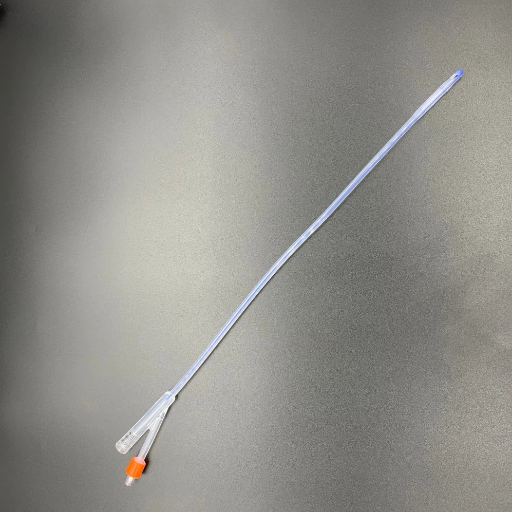 Medical Disposable 100% All Silicone 2-Way 3-Way Foley Catheter