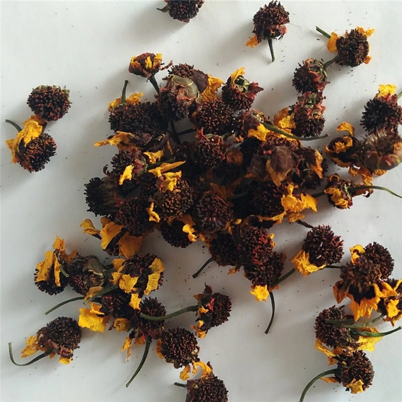 Xue Ju Chinese Herbal Flower Snow Chrysanthemum Flower Coreopsis for Tea