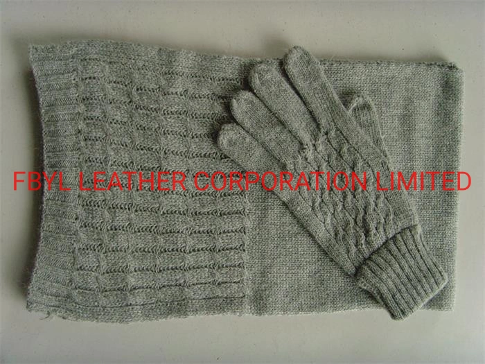 Étoffes de bonneterie d'hiver de haute qualité comprenant une écharpe et gants de protection (JYG-KS2109)