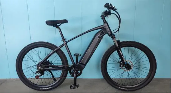Bicicleta elétrica de 36 V Hidden Battery Mountain 250 W e-bike