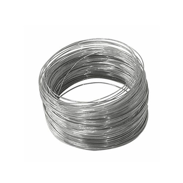 Factory Prices Zinc Coated Bright Silver Line Galvanized Steel Wire Galvanized Welded Wire Mesh for Garden Fence