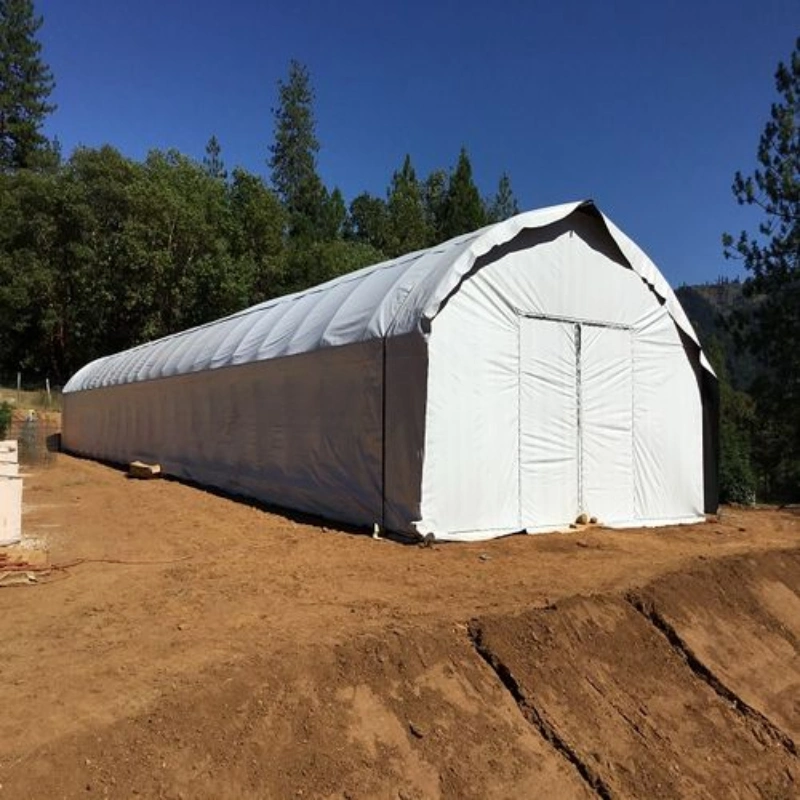 Affordable Agricultural Single-Span Sunlight Film Greenhouse with Hydroponic System and Automatic Irrigation System