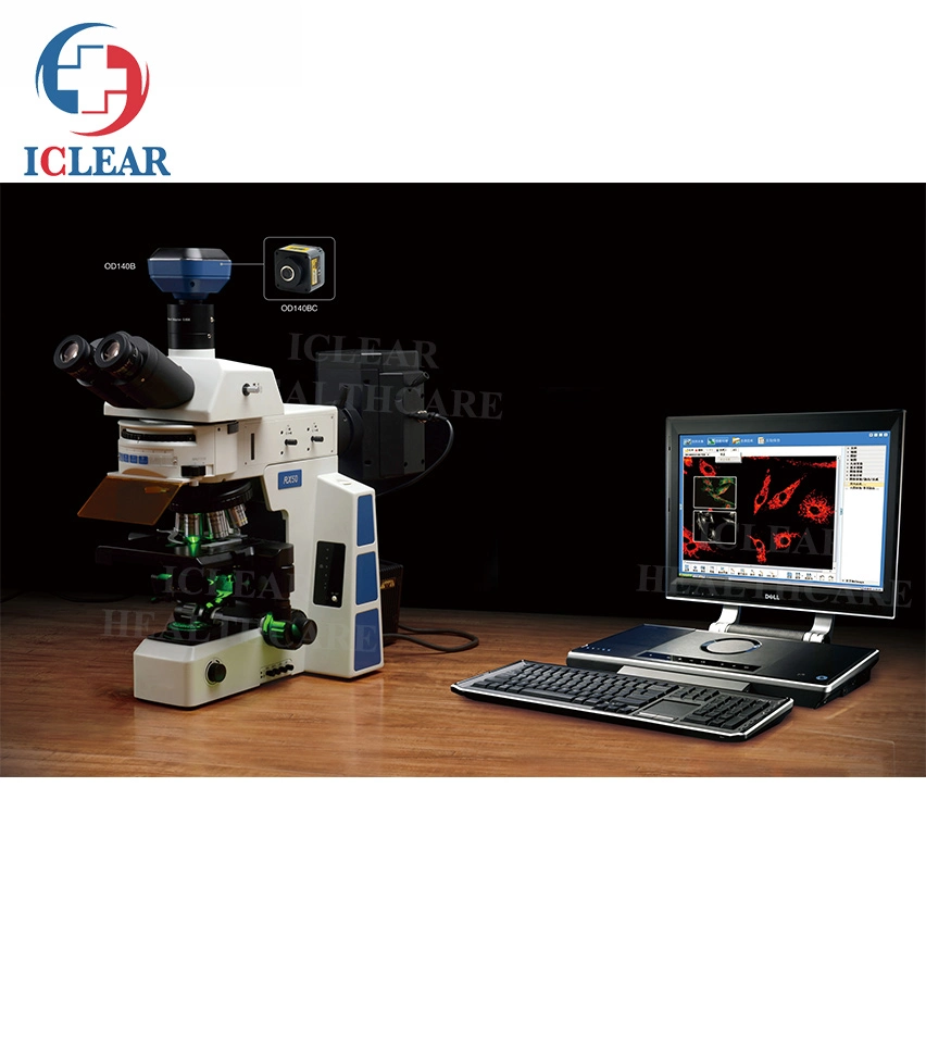 Multi-Functional 6 Digital Filter Lab Biological Fluorescence Microscope with Camera