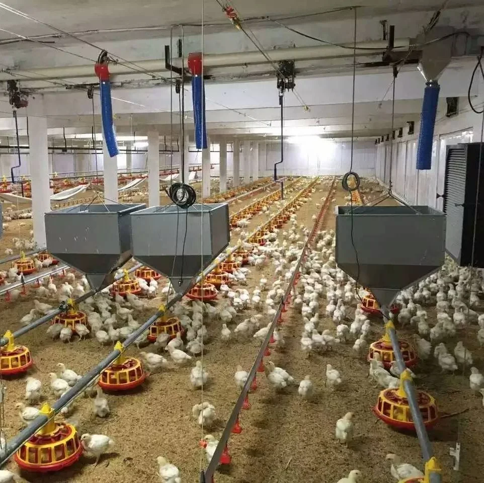 Good New Design Chinese Chicken Raising Farm Equipment for Broiler, Breeder and Layer