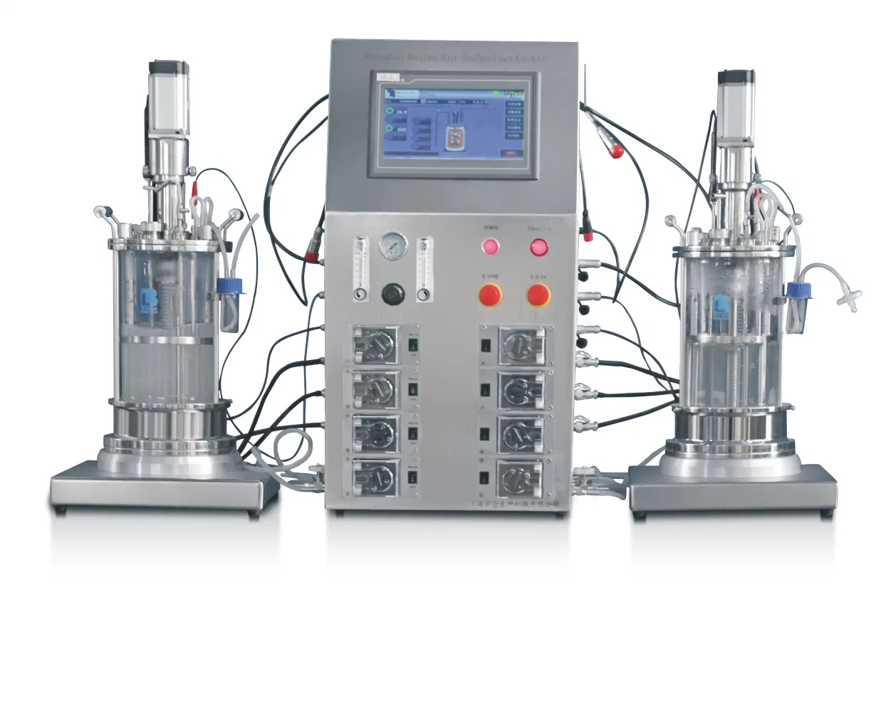 Diagrama Muti-conectado de vidrio industrial lecho empacado biorreactores fermentador