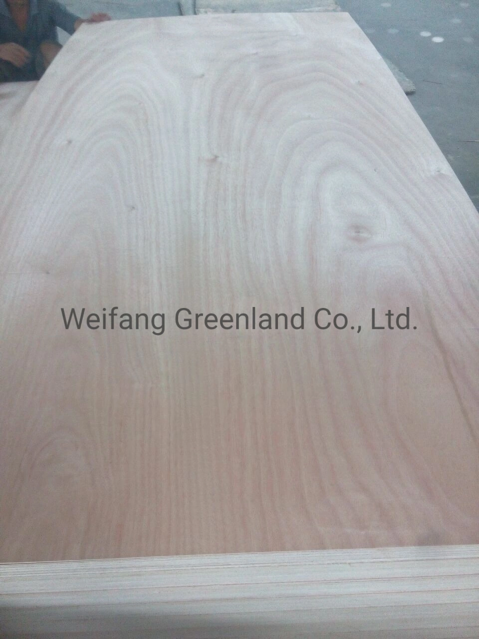 Poplar Wood, Hardwood, Packing Grade Plywood with Various Sizes and Thickness