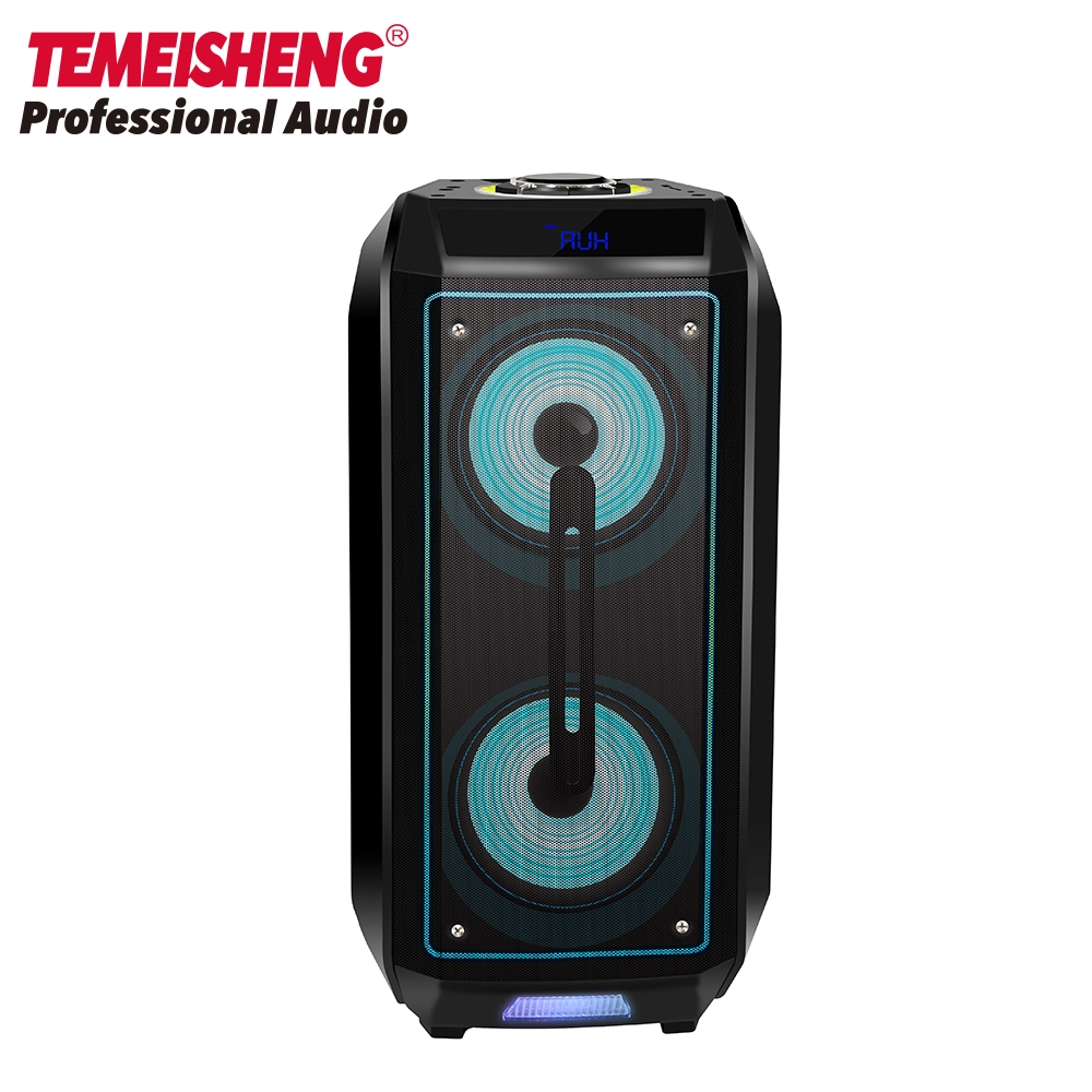 Temeisheng New Private Dual 8 Inch Wooden Party Speaker