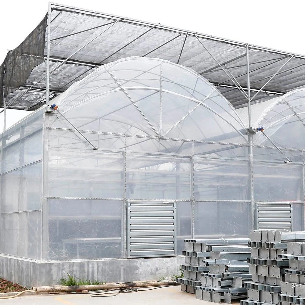 Manufacturer Agricultural Plastic/ Film Greenhouse for Vegetables/Fruit