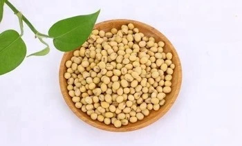 Original Factory Manufacture Isolated Soy Protein for Beverage