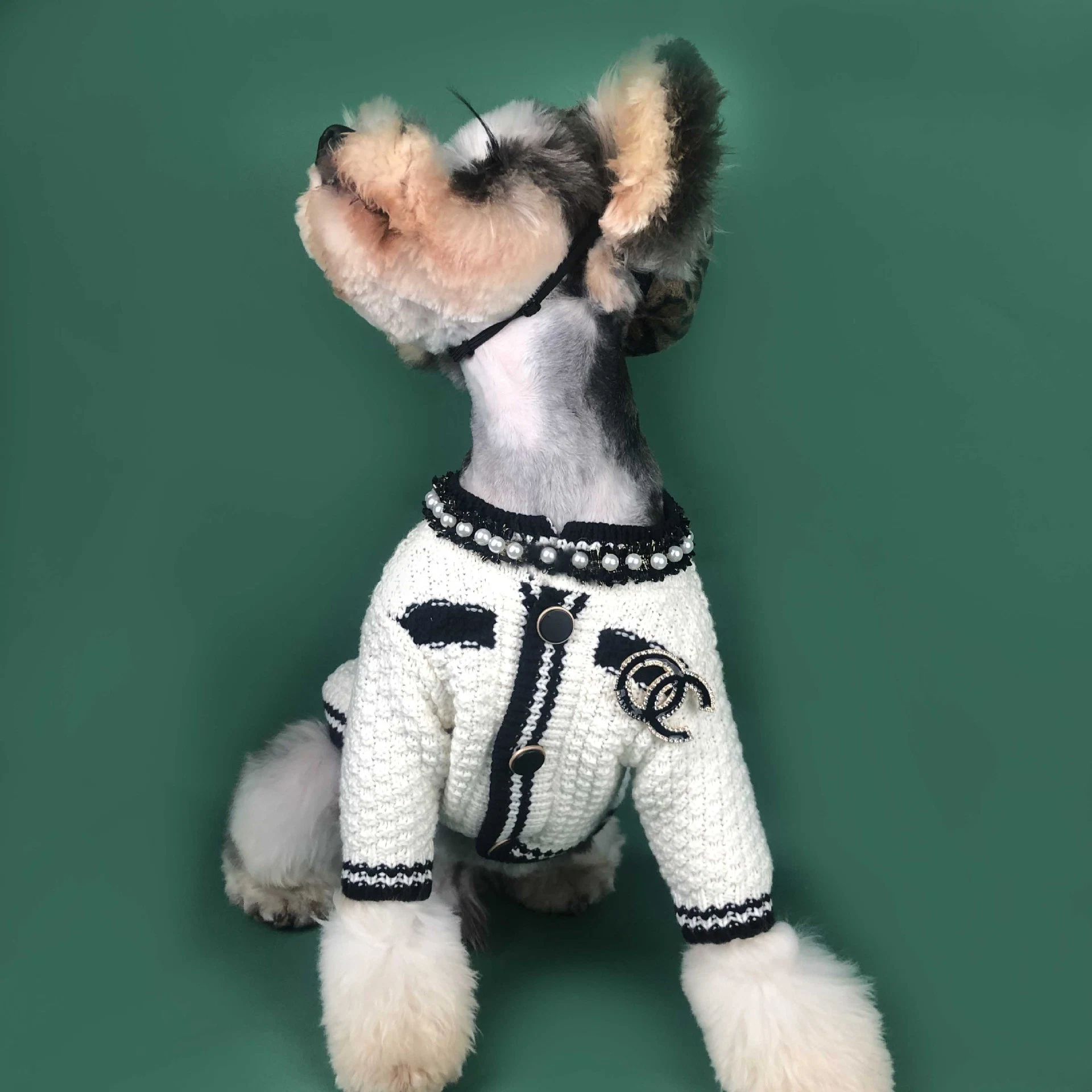 Großhandel Doggy Outfits Haustier Haustier Kleidung Mode Designer Sommer Dünn Hemdbekleidung Haustiere Hund Haustier Kleidung