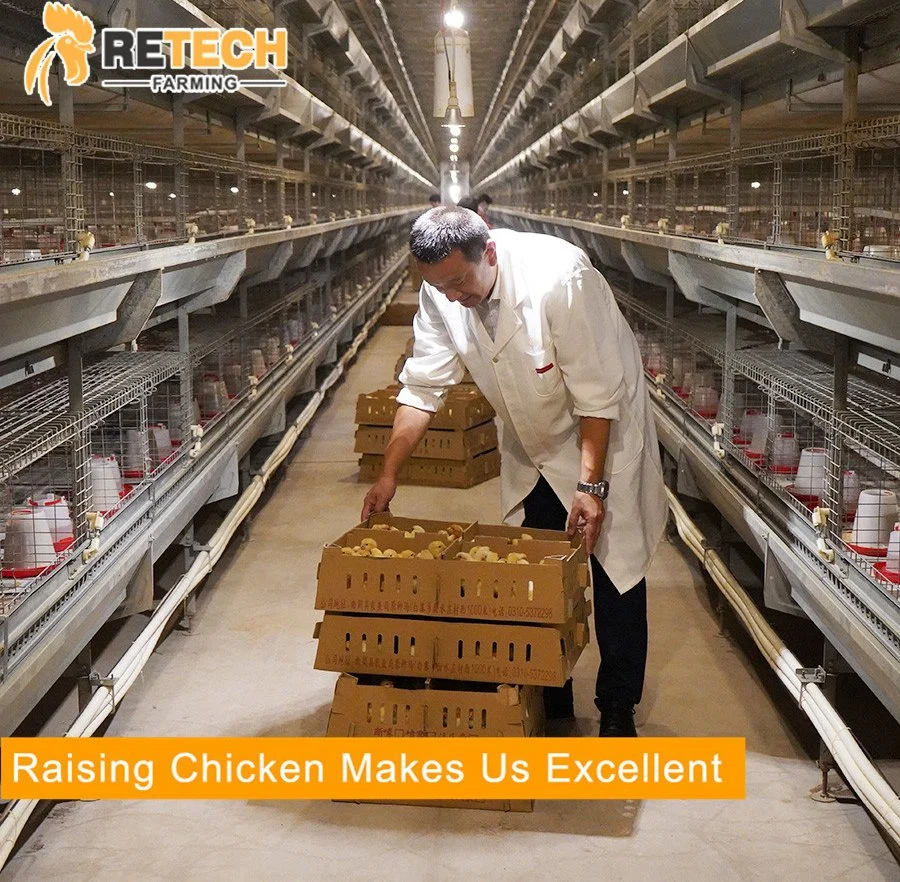 Poultry Equipment Breeding Chicken Cage for Growing Egg Layer Chicken