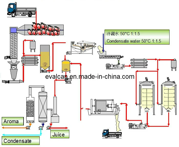 Natural Fruit Juice Extraction Machine Plant