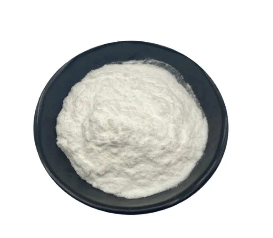 Nootropics Fasoracetam Powder CAS 110958-19-5 with Good Price