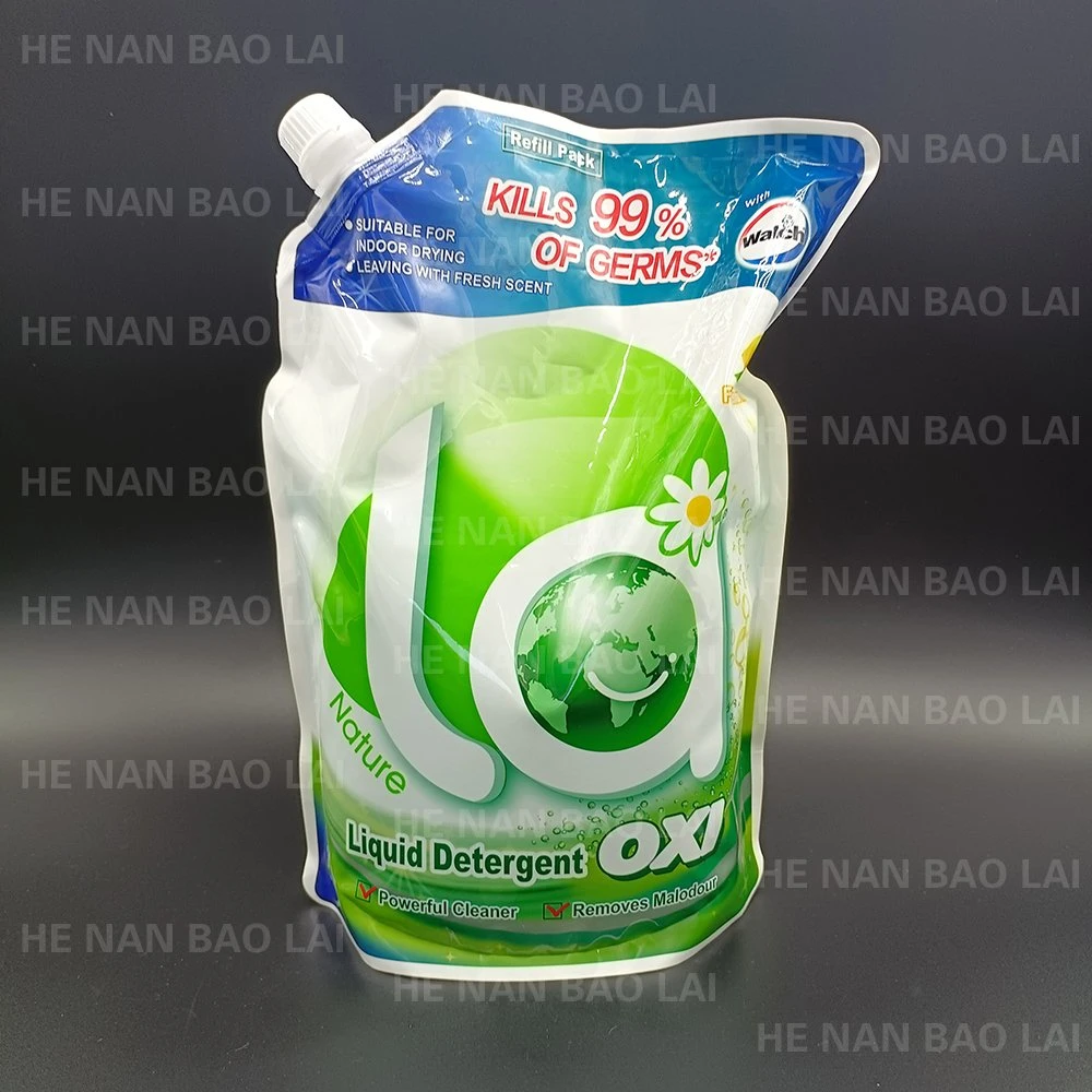 Custom Printed Plastic Laundry Soap Packaging Bags/Quality Nice Packs for Soap Packing