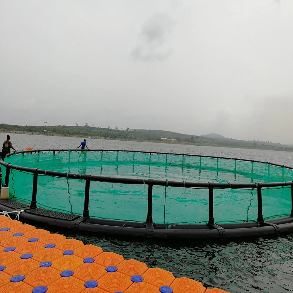 Flotante redonda Circular de la acuicultura Piscicultura Cage