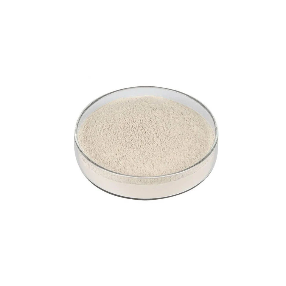 High quality/High cost performance  99% Cosmetic/Food/Feedextract Powder Yeast Extract Powder