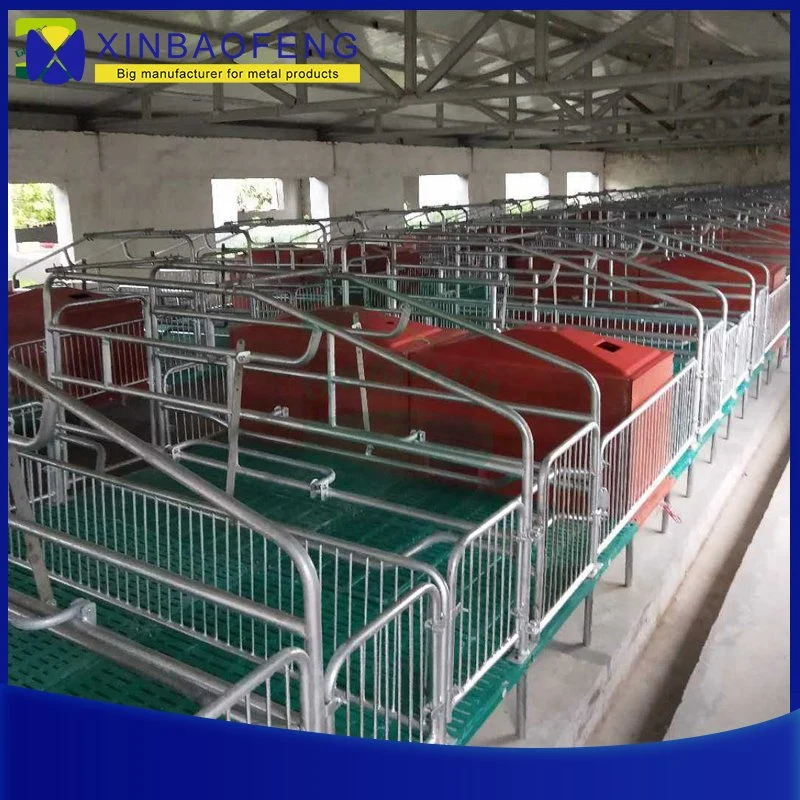 Pig House Construction Automatic Feeding System Livestock Poultry Farms