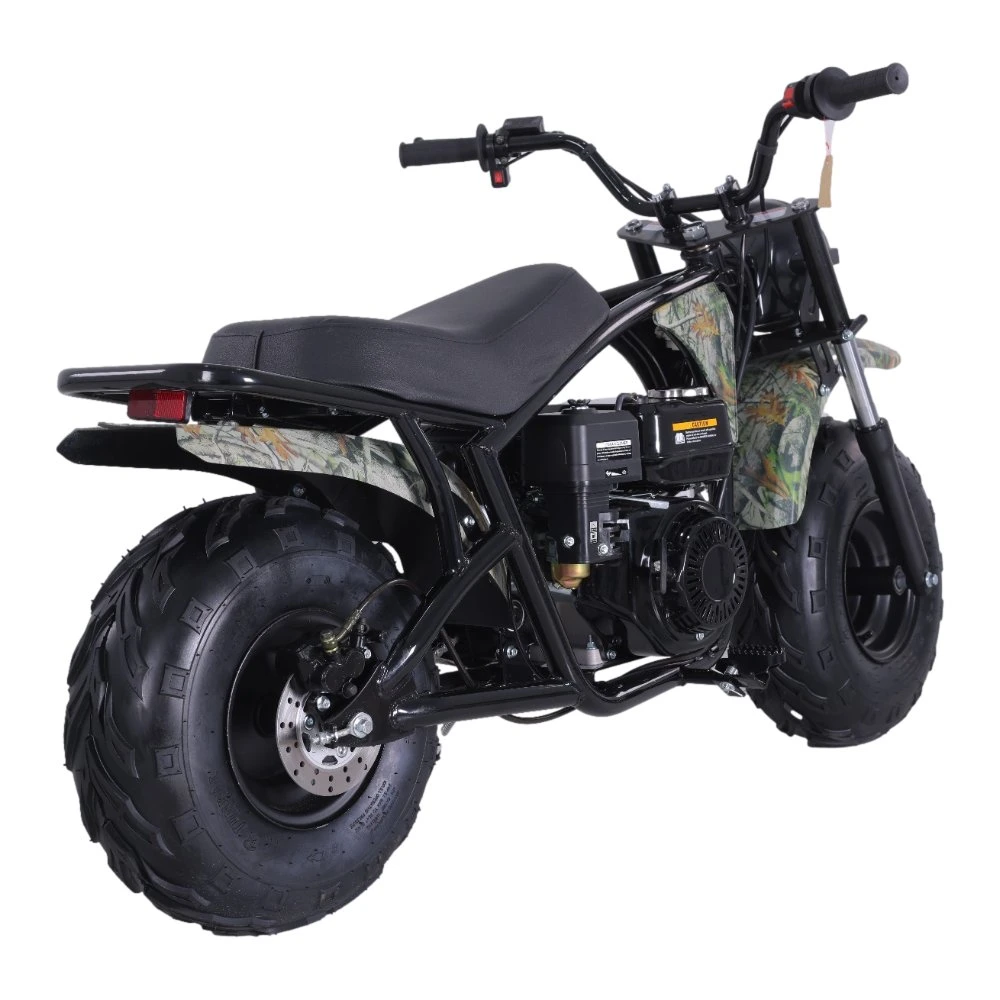 Tao Motor 200cc Mini Moto Motorcycle Dirt Bike