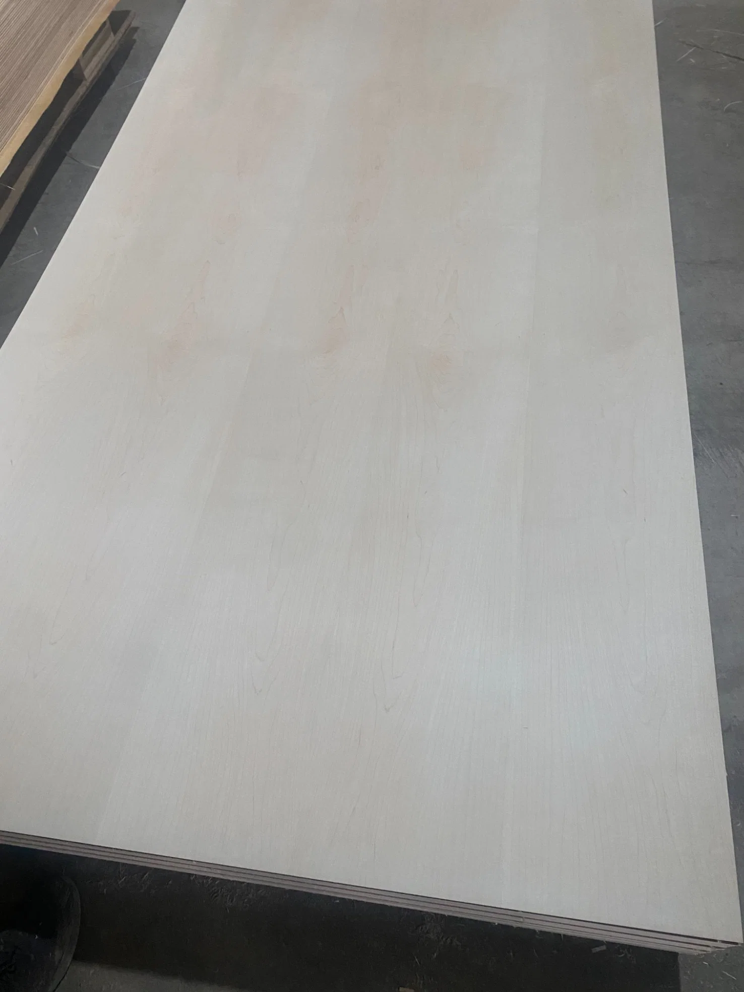 Customized Products Baltic Birch Plywood Laminated Marine 18mm Plywood Melamine Laminated Plywood Wood