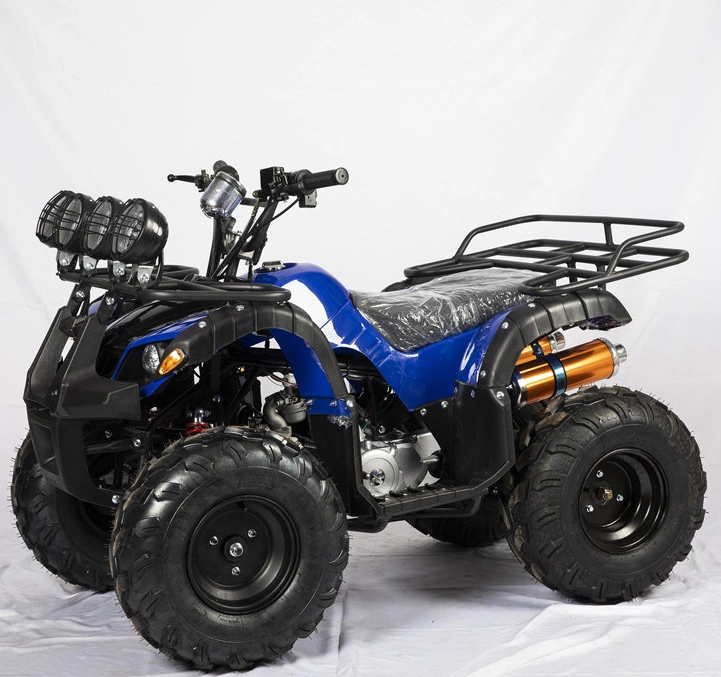 Moto 4 elétrico para adultos 4X4 de 5000 W, 800 cc, 4X4, 500 cc, 550 cc Moto 4 de 400 cc