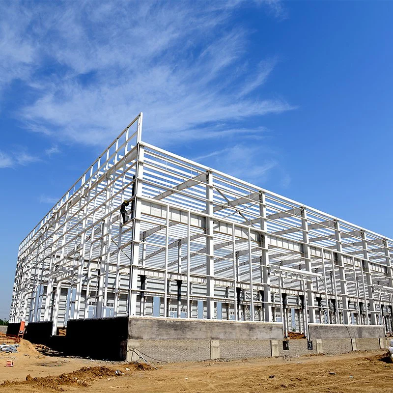 Low Price Estructura De Acero Prefabricated Storage Buildings Warehouse Steel Structure House