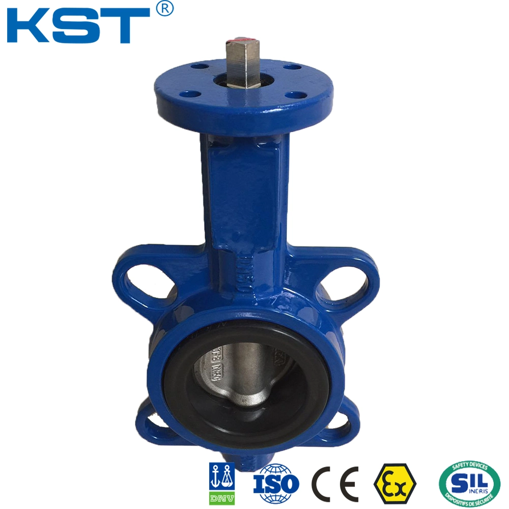 Gear Operate Pipe Line Butterfly Valve