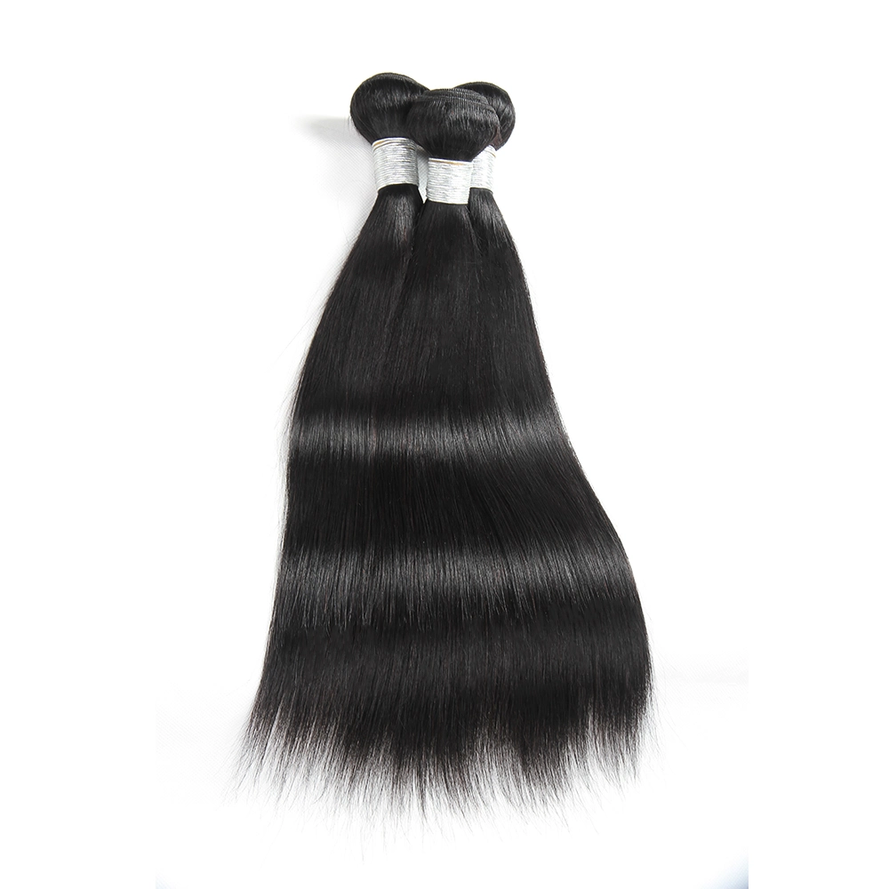 Wigs Human Hair Lace Front Brazilian Hair Bundles Peruvian Hair