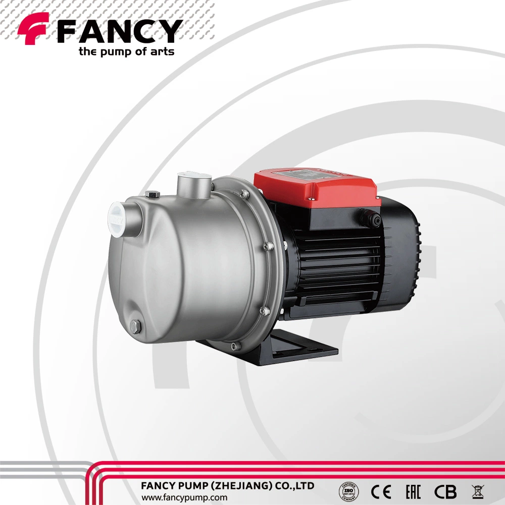 Bomba de agua de motor eléctrico de cobre de hierro fundido serie QB