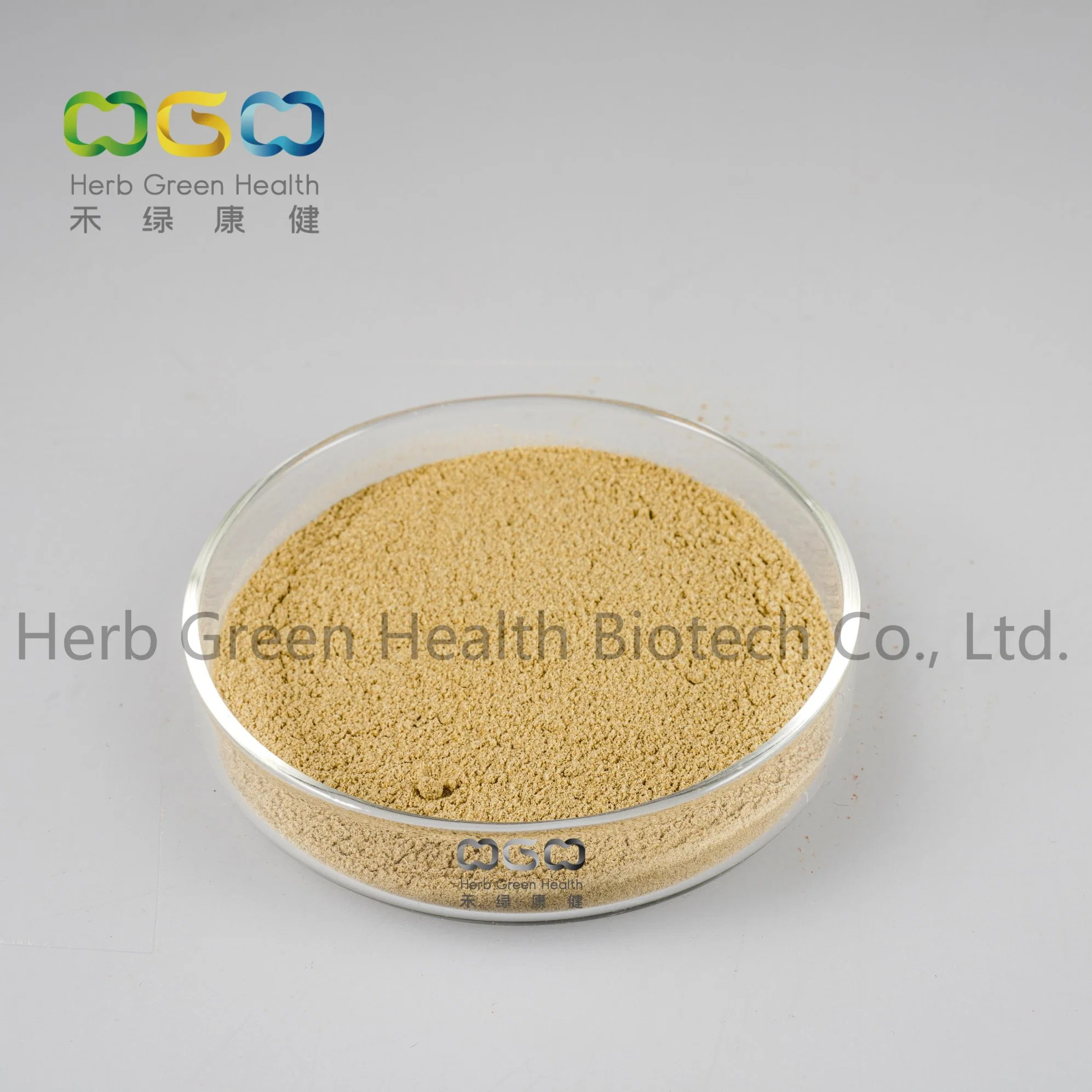 Tianma Herbal Extract Chinese Herb Medicine Health Food Gastrodia Elata