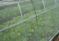 High Density Mesh Insect Proof Net