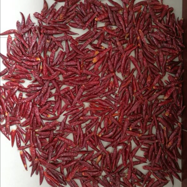 Factory Supply Good Quanlity Dried Yidu Chilli