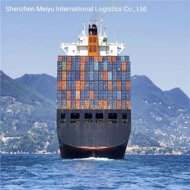 Sea Freight Logistics Ocean Forwarder Shipping Agent From China Shenzhen to Dubai