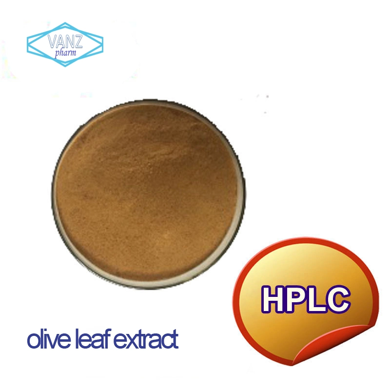 Extrato astragalus 10% ~ 98% Astragaloside IV