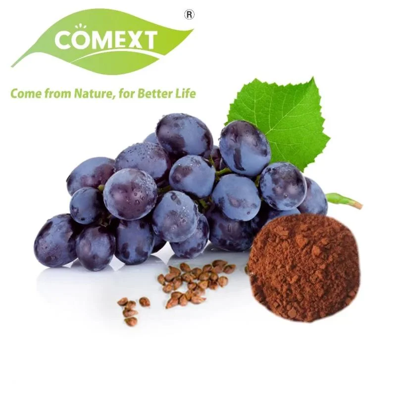 Comext 100% planta Natural Extracto de hierbas polvo antioxidante semilla de uva Extraer