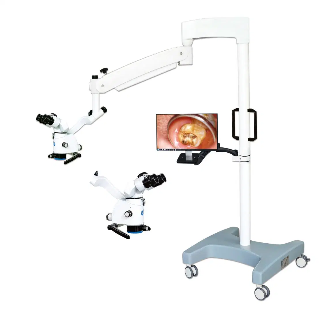 Binocular Ent Dental Operation Microscope with Stereoscopic Impression Optical System and LED Cold Light Mslsx14